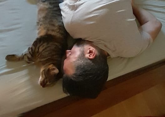 Gato y humano tumbados
