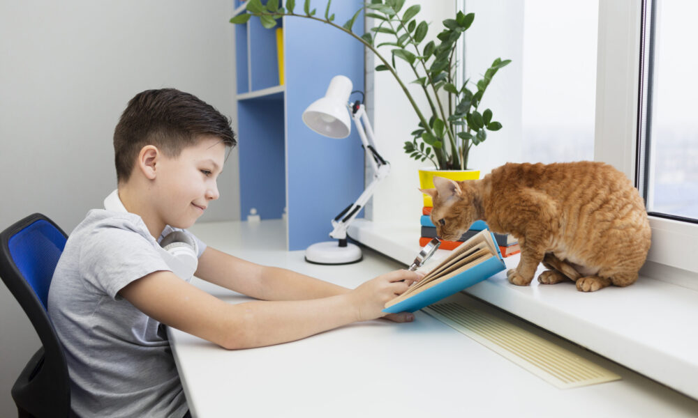 Niño y gato