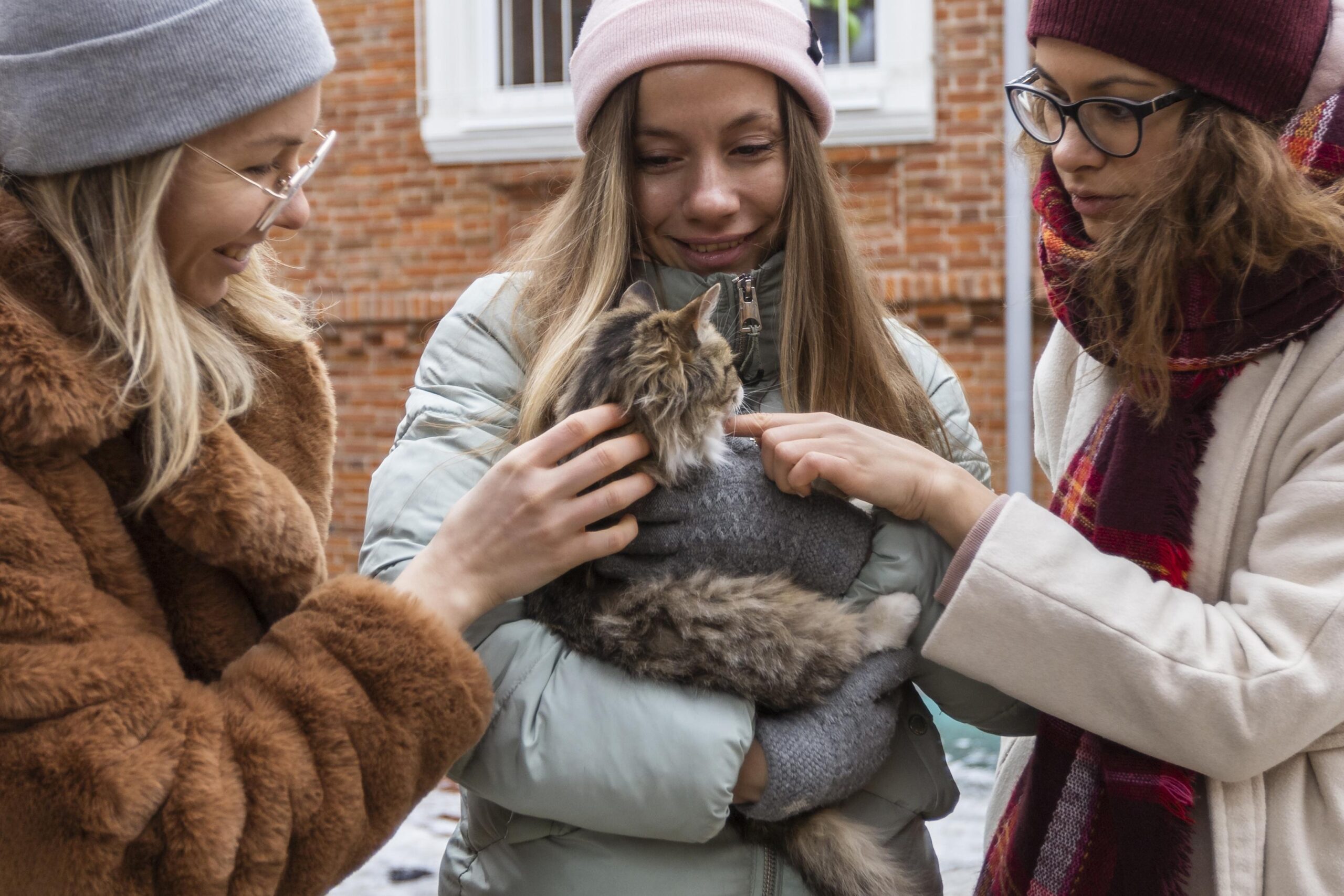 El Papel Fundamental de los Voluntarios en el Cuidado de Gatos Callejeros Voluntarios